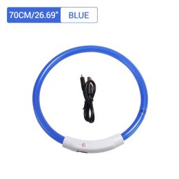 PET LED LIGHT-UP Glow-in-the-dark USB RECHARGEABLE COLLAR Dog Night Safety Flash (Color: Blue)