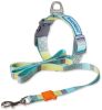 Touchdog Â® 'Trendzy' 2-in-1 Matching Fashion Designer Printed Dog Leash and Collar