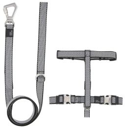 Pet Life Â® 'Escapade' Outdoor Series 2-in-1 Convertible Dog Leash and Harness (Color: grey, Size: Large)