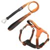 Pet Life Â® 'Geo-prene' 2-in-1 Shock Absorbing Neoprene Padded Reflective Dog Leash and Harness
