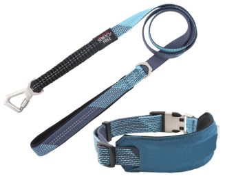 Pet Life Â® 'Geo-prene' 2-in-1 Shock Absorbing Neoprene Padded Reflective Dog Leash and Collar (Color: Blue, Size: Medium)