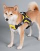 Dog Helios Â® 'Scorpion' Sporty High-Performance Free-Range Dog Harness