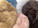 Pet Life Â® 'Nestler' High-Grade Plush and Soft Rounded Dog Bed