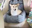 Pet Life Â® 'Pawtrol' Dual Converting Travel Safety Carseat and Pet Bed
