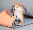 Dog Helios Â® 'Boulder-Trek' 3-in-1 Expandable Surface Outdoor Travel Camping Dog Mat
