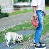 Pet Life Â® 'Posh Walk' Purse Dog Leash, Accessory Holder and Waste Bag Dispenser
