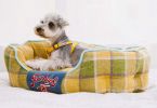 Touchdog Â® 'Archi-Checked' Designer Plaid Oval Dog Bed