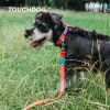 Touchdog Â® 'Trendzy' 2-in-1 Matching Fashion Designer Printed Dog Leash and Collar