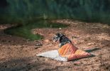 Dog Helios Â® 'Boulder-Trek' 3-in-1 Expandable Surface Outdoor Travel Camping Dog Mat