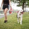 GF PET Reflective Collar - Red