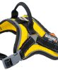 Dog Helios Â® 'Scorpion' Sporty High-Performance Free-Range Dog Harness