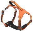 Pet Life Â® 'Geo-prene' 2-in-1 Shock Absorbing Neoprene Padded Reflective Dog Leash and Harness