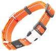 Pet Life Â® 'Advent' Outdoor Series 3M Reflective 2-in-1 Durable Martingale Training Dog Leash and Collar