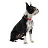 GF PET Reflective Collar - Red