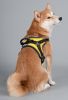 Dog Helios Â® 'Scorpion' Sporty High-Performance Free-Range Dog Harness